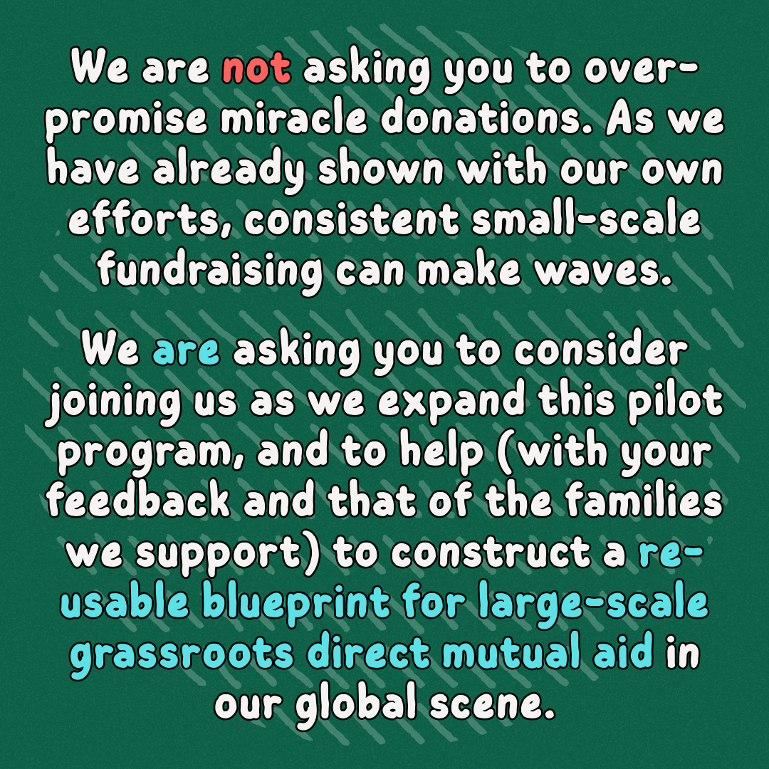 We are not asking you to over-promise miracle donations. As we have already shown with our own efforts, consistent small-scale fundraising can make waves.
We are asking you to consider joining us as we expand this pilot program, and to help (with your feedback and that of the families we support) to construct a re-usable blueprint for large-scale grassroots direct mutual aid in our global scene.